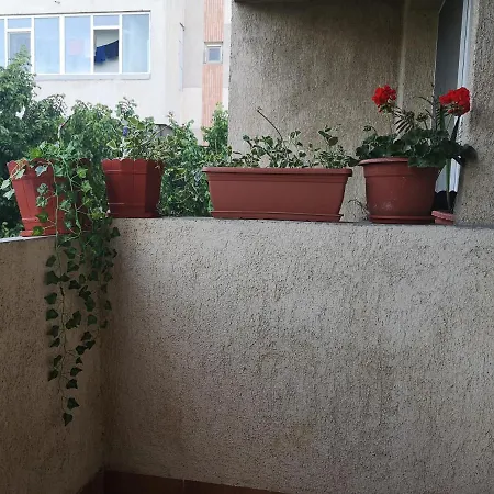 Apartament Anca