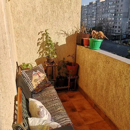 Apartament Anca *