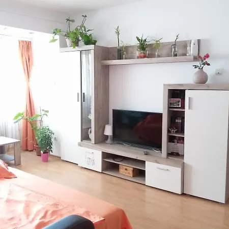 Apartament Anca *
