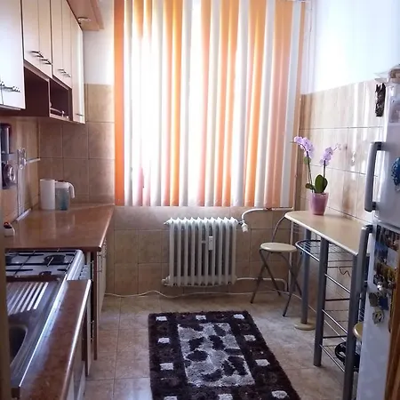 Apartament Anca Apartment *